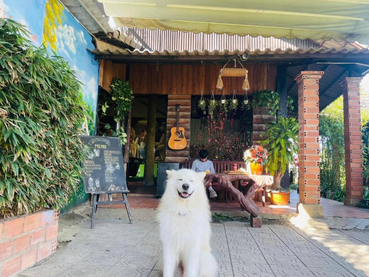 Hoa Son Village Νταλάτ Εξωτερικό φωτογραφία